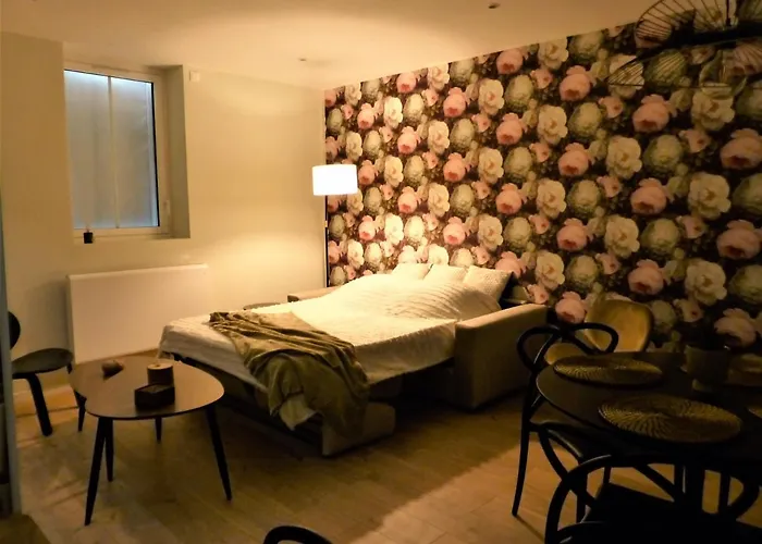 Apartment Coeur Rouennais 4p - Centre Historique - Rue Pietonne - Internet -wifi *